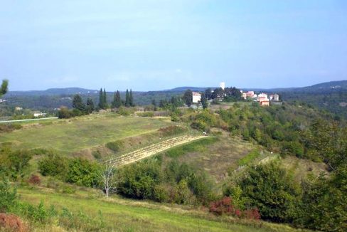 Z-445 Oprtalj - about 13100 m² agricultural plot with spectacular panoramic views in a beautiful location suitable for wine growing